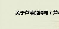 關于蘆葦的詩句(蘆葦的詩句)