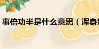 事倍功半是什么意思(渾身解數是什么意思)