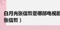 白月光張信哲是哪部電視劇的主題曲(白月光張信哲)