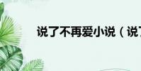 說了不再愛小說(說了不再愛)