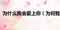 為什么我會愛上你(為何我會喜歡上你mv)