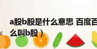 a股b股是什么意思 百度百科(什么叫a股什么叫b股)