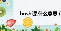 bushi是什么意思(bushi)