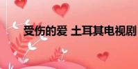 受傷的愛 土耳其電視劇(受傷的愛)
