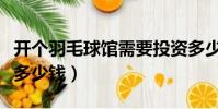 開個羽毛球館需要投資多少錢(羽毛球館投資多少錢)