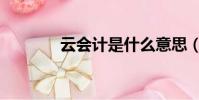 云會計是什么意思(云會計)