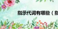 指示代詞有哪些(指示代詞)
