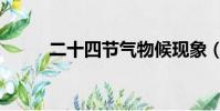二十四節氣物候現象(物候現象)