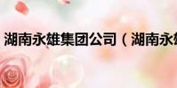 湖南永雄集團公司(湖南永雄集團是干嘛的)