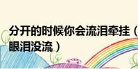 分開的時候你會流淚牽掛(分開的時候你一滴眼淚沒流)