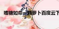 嗜糖如命一顆蘿卜百度云下載(嗜糖如命)