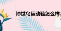 博世鳥運動鞋怎么樣(博世鳥)