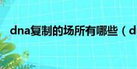 dna復制的場所有哪些(dna復制的場所)