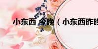 小東西 今晚(小東西昨晚沒喂飽你嗎)