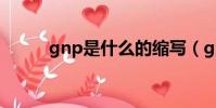 gnp是什么的縮寫(gnp是什么)