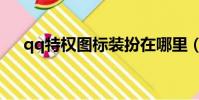 qq特權圖標裝扮在哪里(qq特權圖標)