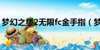 夢幻之星2無限fc金手指(夢幻之星2金手指)