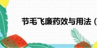 節毛飛廉藥效與用法(節毛飛廉)