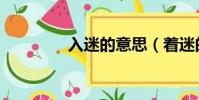 入迷的意思(著迷的意思)