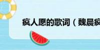 瘋人愿的歌詞(魏晨瘋人愿歌詞)