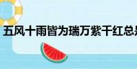 五風十雨皆為瑞萬紫千紅總是春(五風十雨)