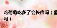 吃葡萄吃多了會長痘嗎(葡萄吃多了會長痘痘嗎)