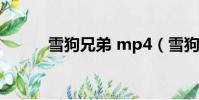 雪狗兄弟 mp4(雪狗兄弟電影)
