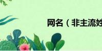 網名(非主流姓名)