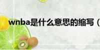 wnba是什么意思的縮寫(wnba是什么)