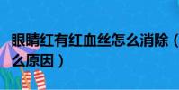 眼睛紅有紅血絲怎么消除(眼睛突然紅了是什么原因)