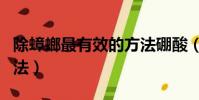 除蟑螂最有效的方法硼酸(除蟑螂最有效的方法)