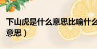 下山虎是什么意思比喻什么人(下山虎是什么意思)