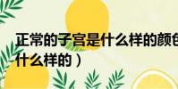 正常的子宮是什么樣的顏色?(正常的子宮是什么樣的)