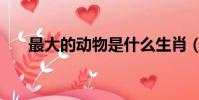 最大的動物是什么生肖(最大的動物)