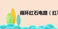 循環紅石電路(紅石電路)