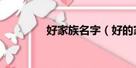 好家族名字(好的家族名)