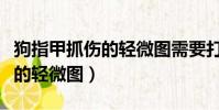 狗指甲抓傷的輕微圖需要打針嗎(狗指甲抓傷的輕微圖)