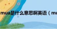 mua是什么意思啊英語(mua是什么意思啊)