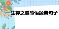 生存之道感悟經典句子(生存之道)