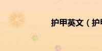 護甲英文(護甲)