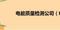 電能質量檢測公司(電能質量)
