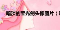 暗淡的瑩光劍頭像圖片(暗淡的瑩光劍)
