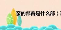 親的部首是什么部(親的部首)