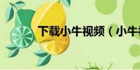 下載小牛視頻(小牛視頻app)
