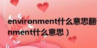 environment什么意思翻譯成中文(environment什么意思)