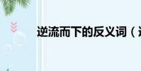 逆流而下的反義詞(逆流而下)