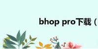 bhop pro下載(bho)