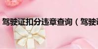 駕駛證扣分違章查詢(駕駛證扣分罰款查詢)