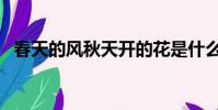 春天的風秋天開的花是什么歌(春天的風)