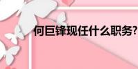 何巨鋒現任什么職務?(何巨鋒)